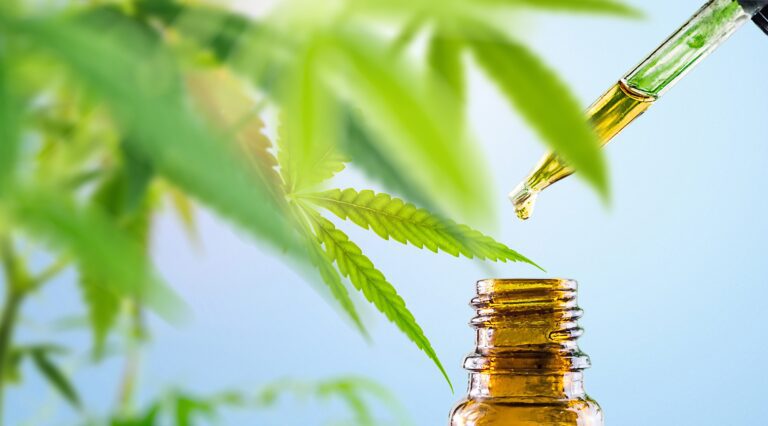 Cannabis CBD oil in eyedropper and bottle against Cannabis Plant